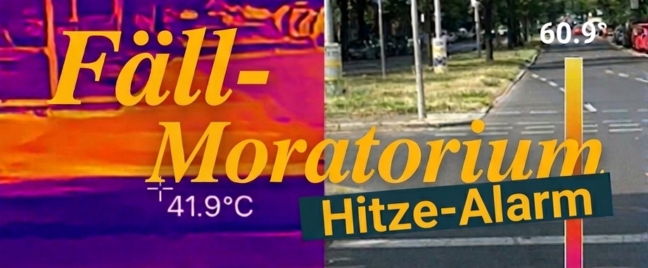 Hitze-Alarm in Berlin – jetzt Baumfäll-Moratorium beschließen!