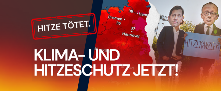 Hitze in Deutschland: 5100 Tote.